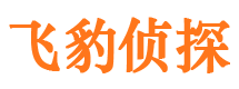 武江市婚姻出轨调查